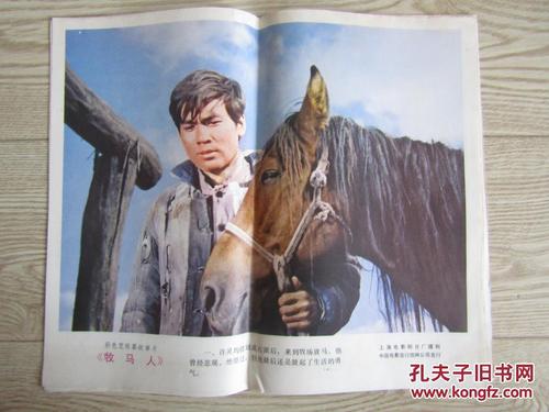 西武芸術科学大学毕业证